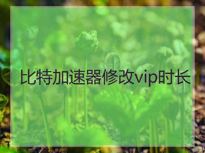 比特加速器修改vip时长